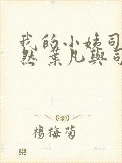我的小姨司空嫣然 叶凡与司空嫣然章节