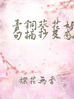 青铜葵花好词好句摘抄及感悟