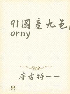 91国产九色porny