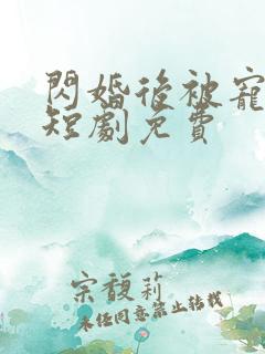 闪婚后被宠上天短剧免费