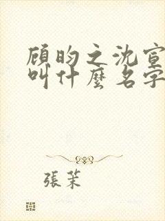 顾昀之沈宣小说叫什么名字