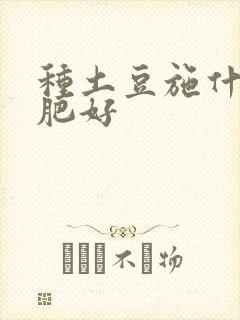 种土豆施什么底肥好