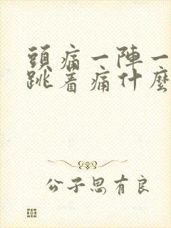 头痛一阵一阵的跳着痛什么原因