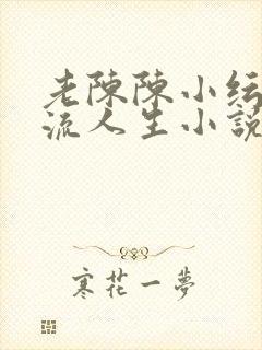 老陈陈小纭的风流人生小说免费阅读