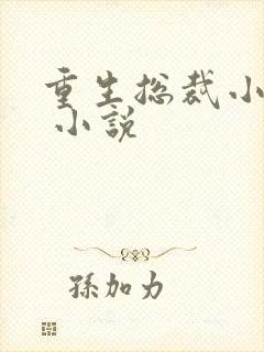重生总裁小娇妻 小说