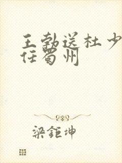 王勃送杜少府之任蜀州