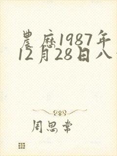 农历1987年12月28日八字解析