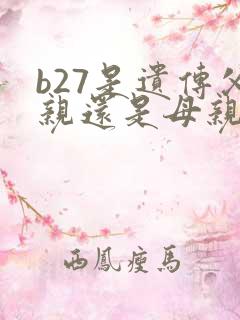 b27是遗传父亲还是母亲