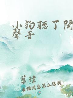 小狗听了开心的声音