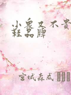 小众又不贵的女鞋品牌