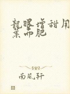 龙眼增甜用什么叶面肥