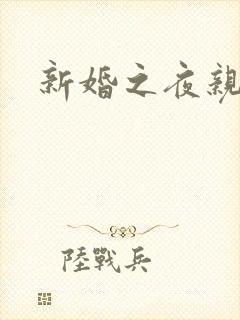 新婚之夜亲吻