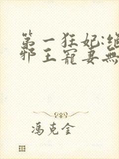 第一狂妃:绝色邪王宠妻无度