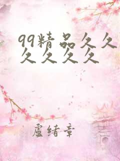 99精品久久久久久久久