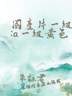 国产片一级黄色:a一级黄色免费