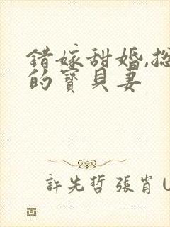 错嫁甜婚,总裁的宝贝妻