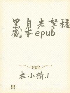 黑月光拿稳be剧本epub