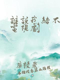 谁说我结不了婚电视剧