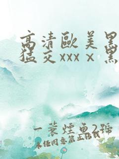 高清欧美黑人性猛交xxxⅹ黑人猛交