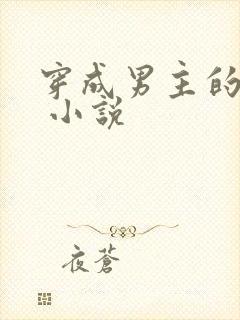 穿成男主的后妈 小说