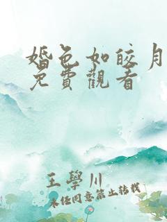 婚色如皎月短剧免费观看