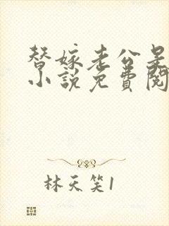 替嫁老公是大佬小说免费阅读