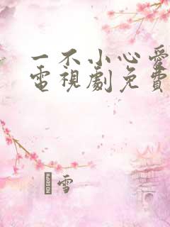 一不小心爱上你电视剧免费观看全集
