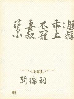 萌妻不乖:腹黑小叔宠上瘾 皮一下