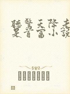 听惊天降老公竟是首富小说