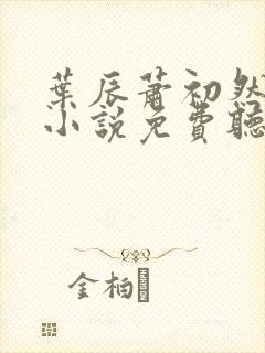 叶辰萧初然有声小说免费听