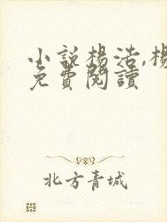 小说杨浩,杨蜜免费阅读