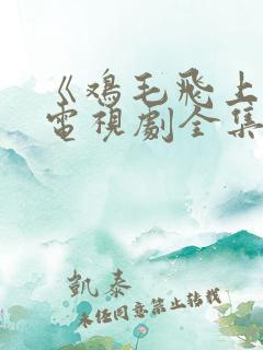 《鸡毛飞上天》电视剧全集在线观看