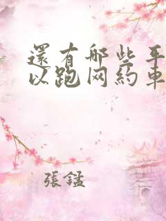 还有哪些平台可以跑网约车
