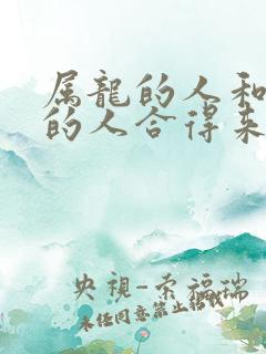 属龙的人和属马的人合得来吗