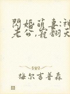 闪婚萌妻:神秘老公,宠翻天