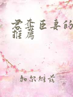 君夺臣妻的小说推荐