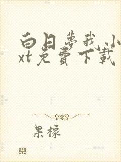 白日梦我小说txt免费下载