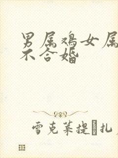 男属鸡女属兔合不合婚