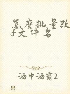 怎么批量改pdf文件名