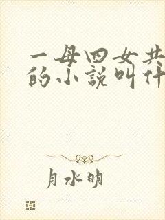 一母四女共一婿的小说叫什么