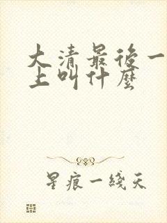大清最后一个皇上叫什么