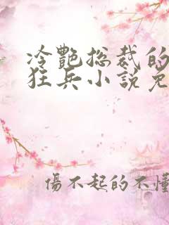 冷艳总裁的超级狂兵小说免费阅读