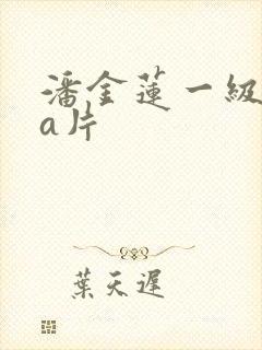 潘金莲一级aaa片