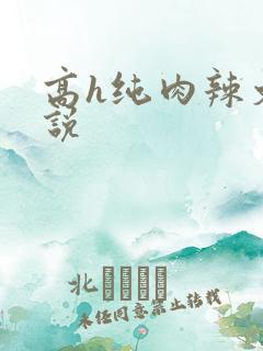 高h纯肉辣文小说