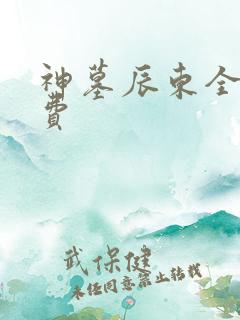 神墓辰东全文免费