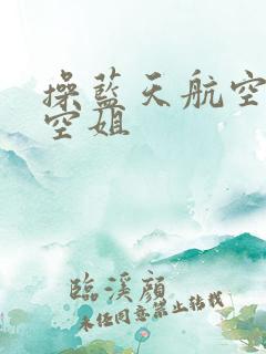 操蓝天航空公司空姐