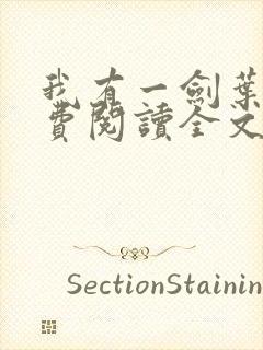 我有一剑叶观免费阅读全文