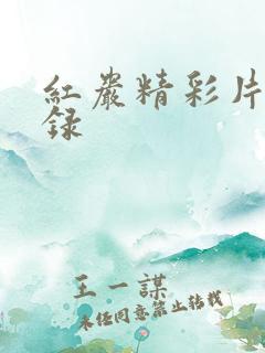 红岩精彩片段摘录
