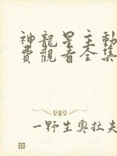 神龙星主动漫免费观看全集