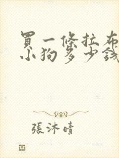 买一条拉布拉多小狗多少钱